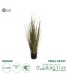 GloboStar® Artificial Garden ZEBRA GRASS 21482 Τεχνητό Διακοσμητικό Φυτό Ζέμπρα  Υ85cm